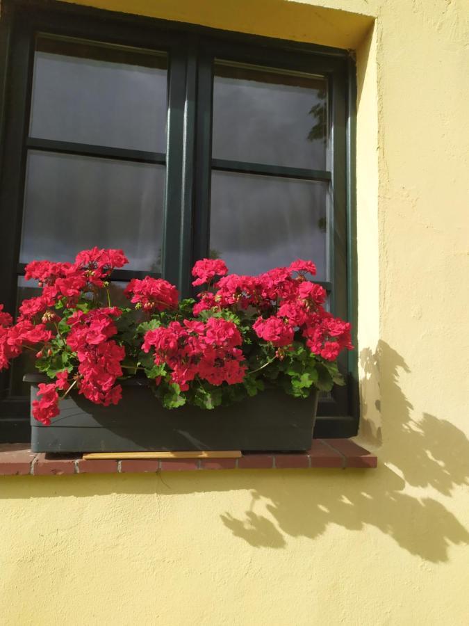 Hotel Wirtshaus Neuenkirchen à Neuenkirchen auf Rugen Extérieur photo